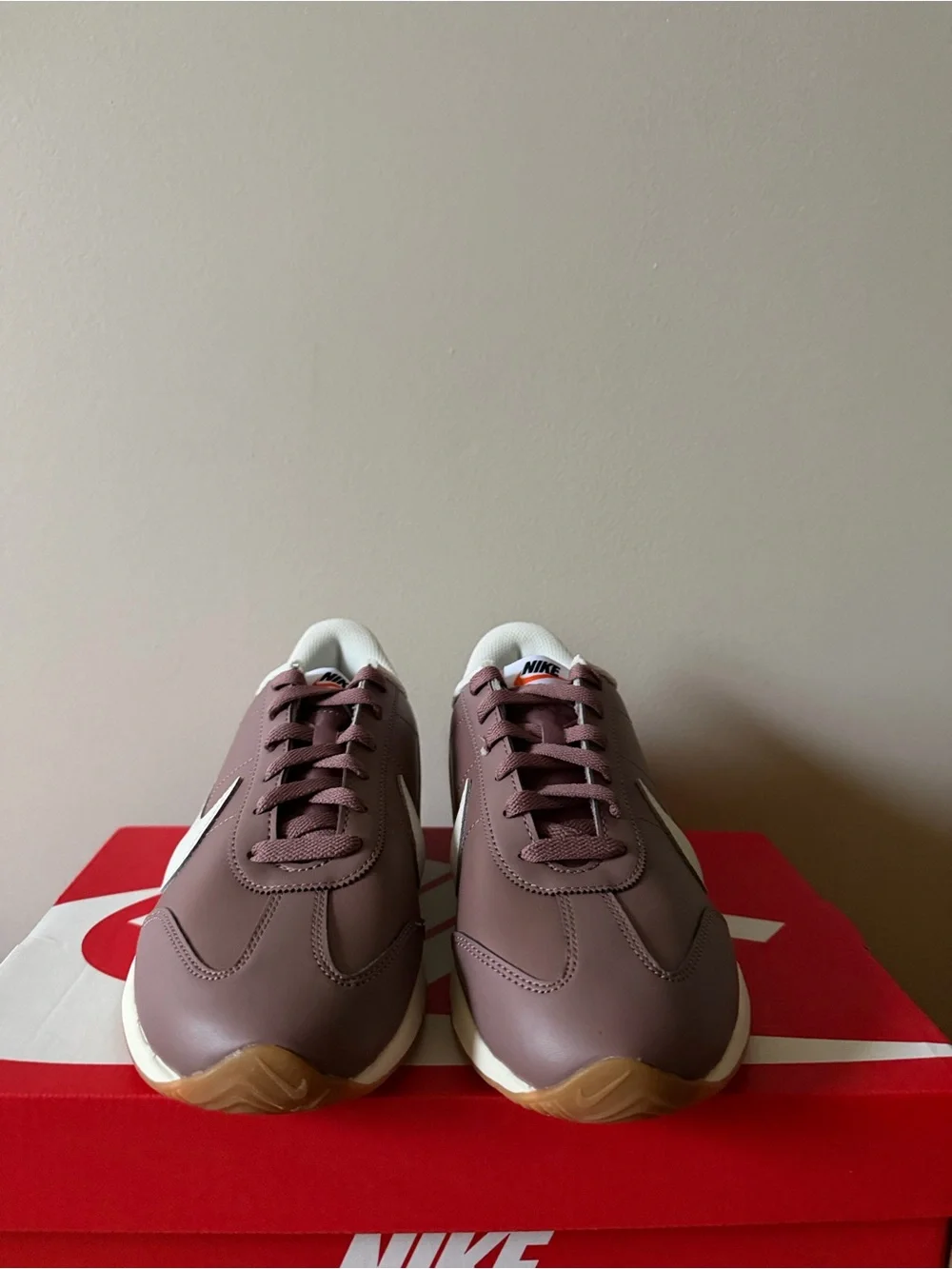 Nike Pacific Leather Mauve Purple HV6430-200 Women’s Size 9